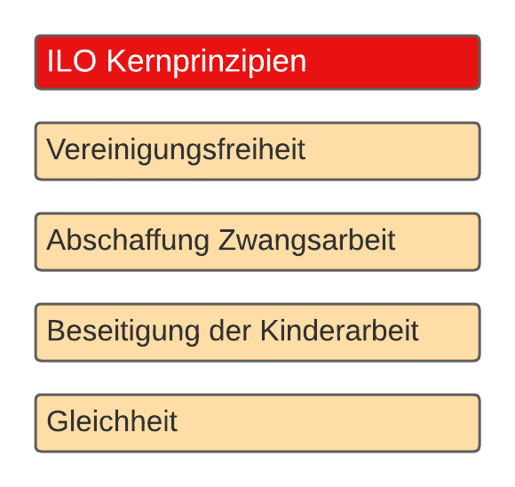 Grundprinzipien ILO