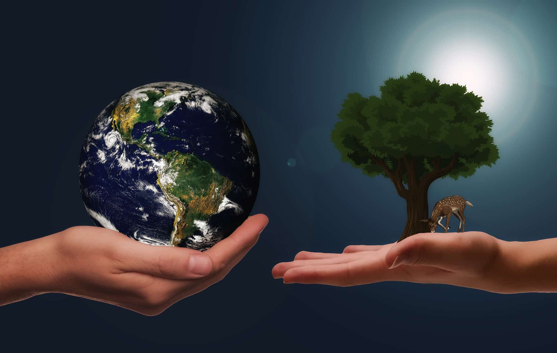 Die EcoVadis Revolution Die EcoVadis Revolution